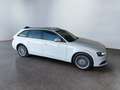 Audi A4 4ª serie Avant 2.0 TDI 150 CV Business Advanced Blanc - thumbnail 2