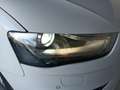 Audi A4 4ª serie Avant 2.0 TDI 150 CV Business Advanced Blanc - thumbnail 6