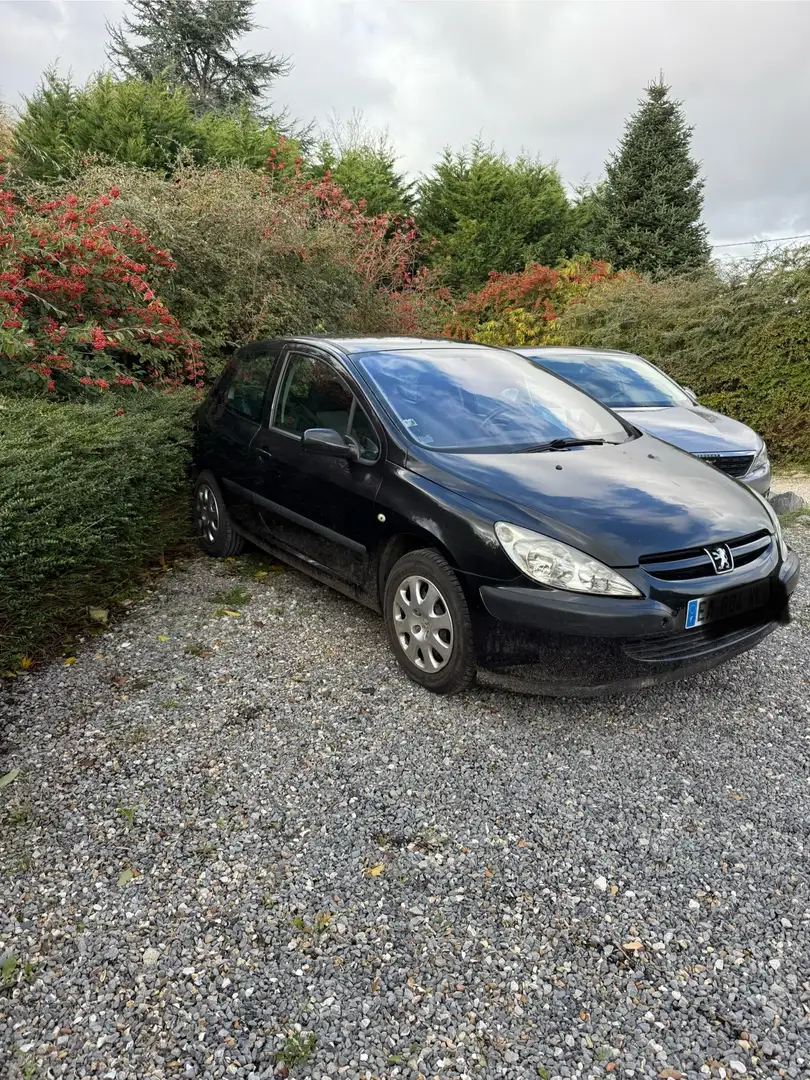 Peugeot 307 1.6i 16V XS - 1