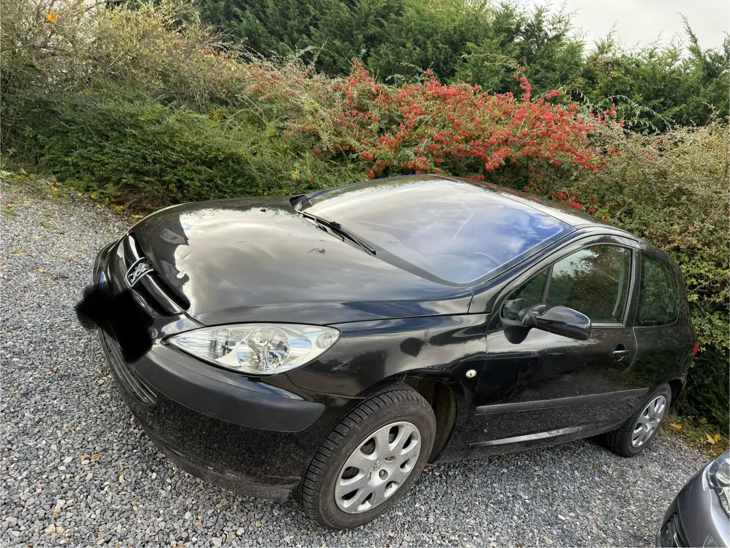 Peugeot 307 1.6i 16V XS - 2