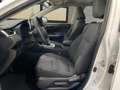 Toyota RAV 4 RAV4 RAV4 2.5l 220H Business 4WD Blanco - thumbnail 16