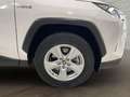 Toyota RAV 4 RAV4 RAV4 2.5l 220H Business 4WD Blanco - thumbnail 10