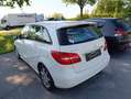 Mercedes-Benz B 180 CDI Weiß - thumbnail 4