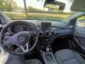 Mercedes-Benz B 180 CDI Weiß - thumbnail 11