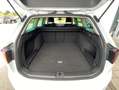 Volkswagen Passat Variant 2.0 TDI DSG ELEGANCE IQ.DRIVE NAV Weiß - thumbnail 12