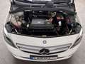 Mercedes-Benz B 250 B-Klasse 250 eDrive Leder Navi Blanco - thumbnail 28
