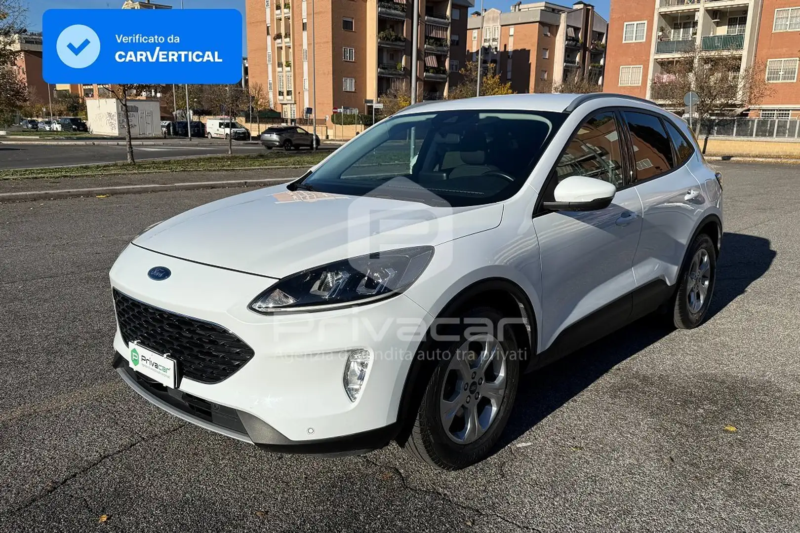 Ford Kuga Kuga 1.5 EcoBlue 120 CV 2WD Connect Weiß - 1