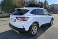 Ford Kuga Kuga 1.5 EcoBlue 120 CV 2WD Connect Weiß - thumbnail 5