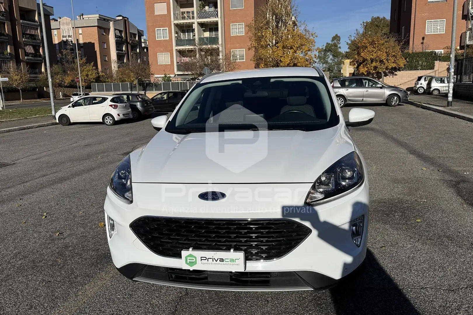 Ford Kuga Kuga 1.5 EcoBlue 120 CV 2WD Connect Weiß - 2