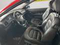 Peugeot 406 Coupe 2.2 Zahnriemen + Reifen neu / BBS / Eibach / Rojo - thumbnail 9
