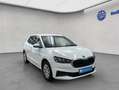 Skoda Fabia 1.0 TSI DSG Ambition Weiß - thumbnail 8