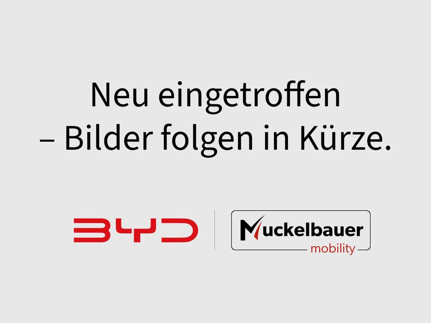 Subaru OUTBACK Platinum *AKTION* Braun - 2