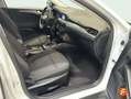 Ford Focus 1.5Ecoblue Trend 95 Blanc - thumbnail 20