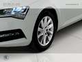 Skoda Superb wagon 2.0 tdi evo executive 150cv dsg Bianco - thumbnail 6