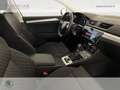 Skoda Superb wagon 2.0 tdi evo executive 150cv dsg Bianco - thumbnail 9