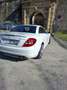 Mercedes-Benz SLK 55 AMG SLK 55 AMG (171.473) Blanco - thumbnail 2