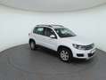 Volkswagen Tiguan 1.4 TSI BlueMotion PDC+ParkAss+2xKlima Weiß - thumbnail 4