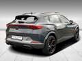 CUPRA Formentor VZ 2.0 TSI DSG 4Drive Sitzheizung PDC Grau - thumbnail 5