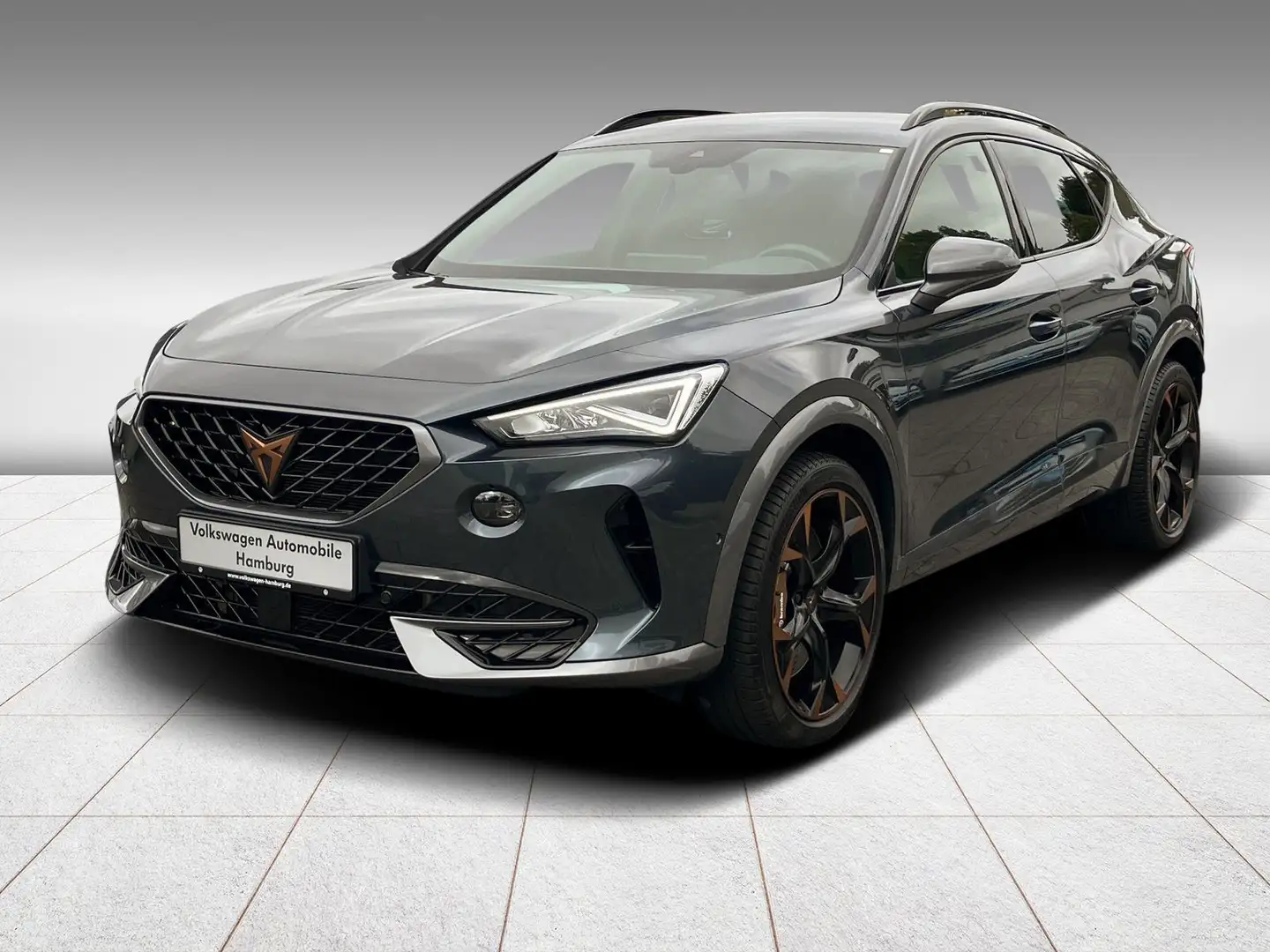 CUPRA Formentor VZ 2.0 TSI DSG 4Drive Sitzheizung PDC Grau - 2
