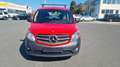 Mercedes-Benz Citan Kombi 109 CDI lang, viele Teile Neu Rot - thumbnail 2