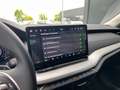 Skoda Octavia Selection TDI DSG Grau - thumbnail 15