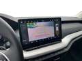 Skoda Octavia Selection TDI DSG Grau - thumbnail 17