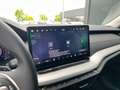 Skoda Octavia Selection TDI DSG Grau - thumbnail 13