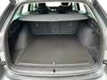 Skoda Octavia Selection TDI DSG Grau - thumbnail 21