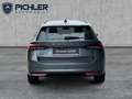 Skoda Octavia Selection TDI DSG Grau - thumbnail 4