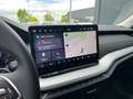 Skoda Octavia Selection TDI DSG Grau - thumbnail 12