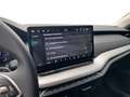 Skoda Octavia Selection TDI DSG Grau - thumbnail 16