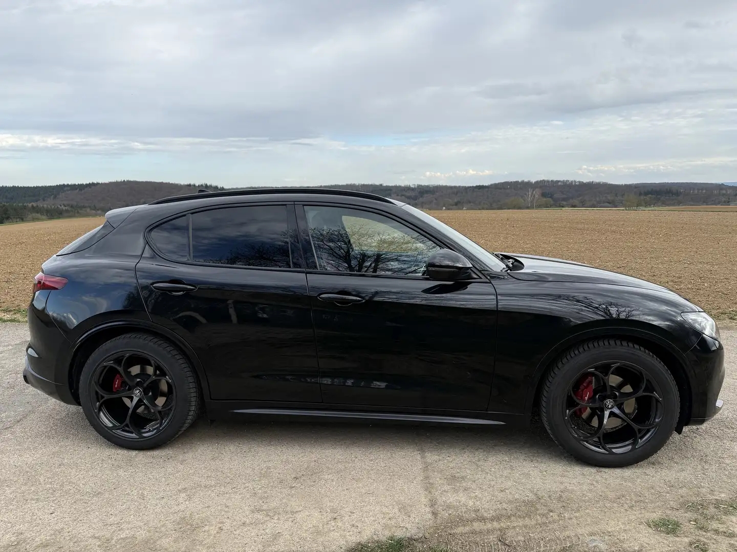Alfa Romeo Stelvio 2.0 Turbo 16V AT8-Q4 Executive Schwarz - 1