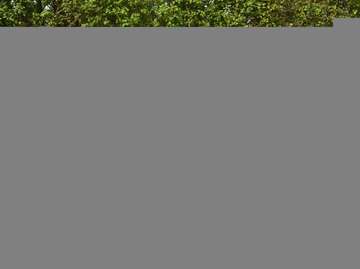 F-Type Coupé 2.0i *  1HAND * BELGIAN CAR * FULL JAGUAR SERVICE HISTORY !!!