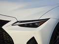 Lexus IS F IS 500 Performance Weiß - thumbnail 8