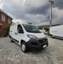 Fiat Ducato 2.3 MJT 120 CV CH1 L1H1 PORTA SCALA BLOCCHETTI Weiß - thumbnail 1