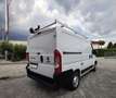 Fiat Ducato 2.3 MJT 120 CV CH1 L1H1 PORTA SCALA BLOCCHETTI Weiß - thumbnail 12