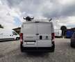 Fiat Ducato 2.3 MJT 120 CV CH1 L1H1 PORTA SCALA BLOCCHETTI Weiß - thumbnail 11