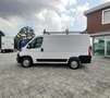 Fiat Ducato 2.3 MJT 120 CV CH1 L1H1 PORTA SCALA BLOCCHETTI Weiß - thumbnail 4