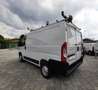 Fiat Ducato 2.3 MJT 120 CV CH1 L1H1 PORTA SCALA BLOCCHETTI Weiß - thumbnail 10