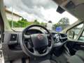 Fiat Ducato 2.3 MJT 120 CV CH1 L1H1 PORTA SCALA BLOCCHETTI Weiß - thumbnail 8