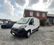 Fiat Ducato 2.3 MJT 120 CV CH1 L1H1 PORTA SCALA BLOCCHETTI Weiß - thumbnail 3