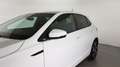 Volkswagen Polo 1.0 tsi R-Line 95cv dsg Bianco - thumbnail 21