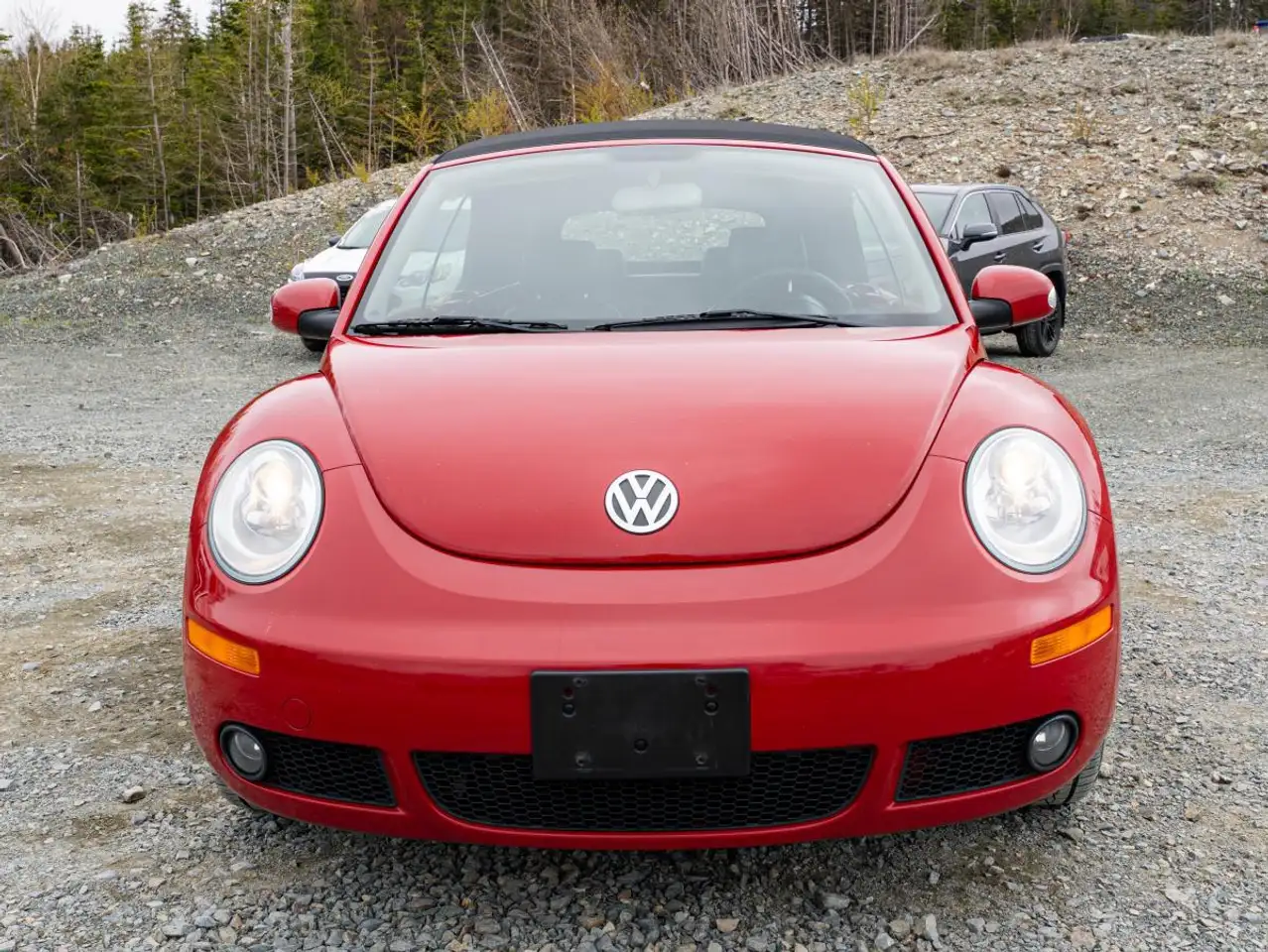 Volkswagen Beetle снимка Volkswagen Beetle