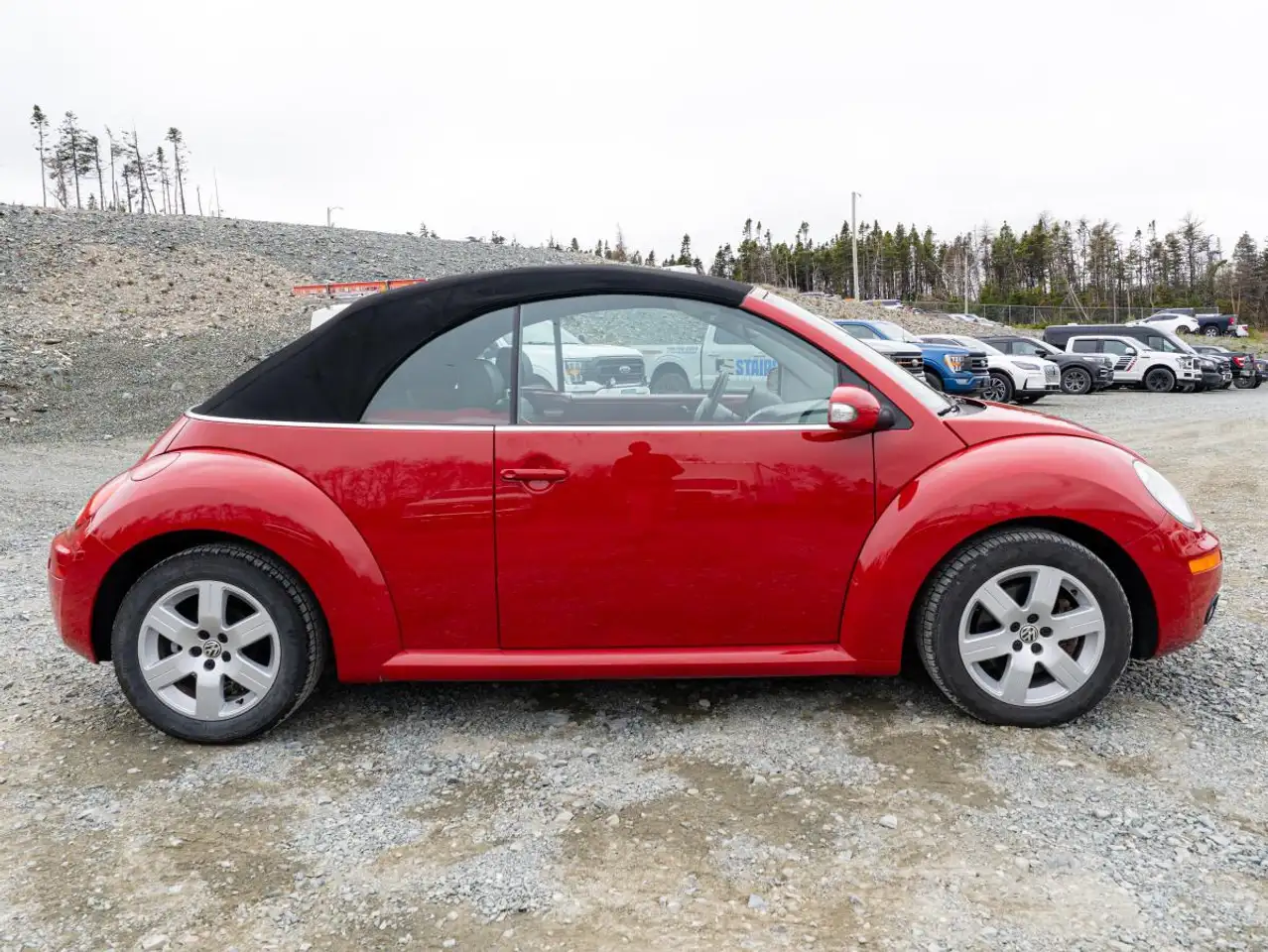 Volkswagen Beetle снимка Volkswagen Beetle