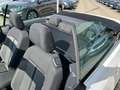 Volkswagen T-Roc Cabriolet 1.0 TSI Style *Navi Sitzh. DAB+* Weiß - thumbnail 12