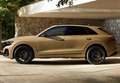 Audi Q8 50 TDI Black line quattro tiptronic 210kW Gris - thumbnail 23