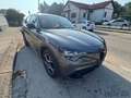 Alfa Romeo Stelvio Stelvio 2.2 Turbodiesel 210 CV AT8 Q4 Super Grigio - thumbnail 1