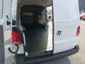 Volkswagen T6.1 Transporter VW Transporter T6.1 Kastenwagen TDI Weiß - thumbnail 15