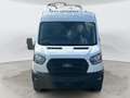 Ford Transit Kasten 310 L3 Trend *Scheckheft* White - thumbnail 5
