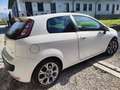 Fiat Punto Evo 3p 1.4 m-air turbo Fun s&s Bianco - thumbnail 7